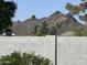 Expansive mountain view from backyard, with palm trees dotting the landscape at 2517 E Sahuaro Dr, Phoenix, AZ 85028