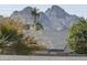 Scenic mountain view from this property, with palm trees and lush greenery enhancing the picturesque setting at 2517 E Sahuaro Dr, Phoenix, AZ 85028