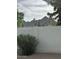 Mountain view from backyard beyond privacy wall and lush plants at 2517 E Sahuaro Dr, Phoenix, AZ 85028