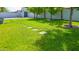 Lush green backyard with stepping stones leading to a private area at 313 E Westchester Dr, Tempe, AZ 85283