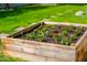 A custom-built garden bed features fresh plants and rich soil at 313 E Westchester Dr, Tempe, AZ 85283