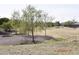 Image of a community park with trails, landscaping and desert vegetation at 3165 N 306Th Ln, Buckeye, AZ 85396