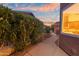 Private backyard area with a walkway, mature trees, and a partial view of the home's exterior at 6339 S Palo Blanco Dr, Gold Canyon, AZ 85118