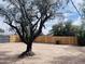 Fenced in backyard with mature shade tree at 7420 N 58Th Ave, Glendale, AZ 85301