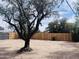 Spacious fenced in backyard with mature shade tree at 7420 N 58Th Ave, Glendale, AZ 85301