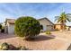 Lovely single-story home featuring lush landscaping, desert plants, and attached garage at 8229 E Farmdale Dr, Mesa, AZ 85208