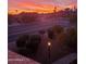 Spectacular sunrise view over the neighborhood, featuring desert landscaping, palm trees, and colorful sky at 14645 N Fountain Hills Blvd # 208, Fountain Hills, AZ 85268