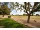 Scenic view of the lush golf course with mature trees and blue skies, offering a tranquil and picturesque community setting at 18607 N 125Th Ave, Sun City West, AZ 85375