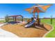 Community playground with a slide, shade structure, and picnic tables for outdoor enjoyment at 20289 N 259Th Ave, Buckeye, AZ 85396