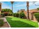 Lush backyard with manicured lawn, palm trees, and decorative landscaping at 3832 N Gallatin --, Mesa, AZ 85215
