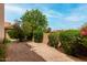 Backyard features gravel landscaping, mature trees, and blooming bushes under a sunny sky at 3832 N Gallatin --, Mesa, AZ 85215