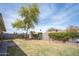 Large backyard featuring a shade tree, block wall fence, and plenty of room for outdoor activities and entertainment at 402 W Mohawk Ln, Phoenix, AZ 85027