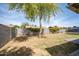 Spacious backyard featuring a mature shade tree, block wall fence and ample space for outdoor activities at 402 W Mohawk Ln, Phoenix, AZ 85027