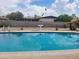 Sparkling backyard pool is surrounded by lush greenery and a beautiful bird bath at 4549 W Seldon Ln, Glendale, AZ 85302