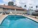 Relaxing pool area featuring refreshing blue water and a backyard with lounge seating and mature palm trees at 4549 W Seldon Ln, Glendale, AZ 85302