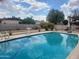 Beautiful backyard pool surrounded by desert landscaping with patio furniture at 4549 W Seldon Ln, Glendale, AZ 85302