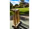 Expansive backyard featuring lush lawn, mature landscaping, and a classic croquet set for outdoor recreation at 4800 N 68Th St # 314, Scottsdale, AZ 85251