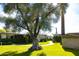 Lush green lawns with mature trees and a walking path winding through the community at 4800 N 68Th St # 314, Scottsdale, AZ 85251