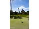 Backyard putting green surrounded by mature landscaping at 4800 N 68Th St # 314, Scottsdale, AZ 85251