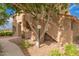 Exterior of building with shade tree on walkway with manicured landscape and stone at 5450 E Mclellan Rd # 150, Mesa, AZ 85205