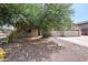 Desert-landscaped front yard with a mature shade tree, complemented by the home's neutral palette and welcoming entrance at 656 W Johnson Dr, Gilbert, AZ 85233