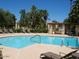 Inviting community pool with comfortable lounge chairs under the clear blue sky at 8256 E Arabian Trl # 239, Scottsdale, AZ 85258
