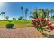 Beautiful golf course view featuring well-maintained landscaping and colorful floral accents at 9717 E Holiday Way, Sun Lakes, AZ 85248