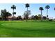 Enjoy an afternoon on the putting green, surrounded by lush landscaping and towering palm trees at 9717 E Holiday Way, Sun Lakes, AZ 85248