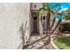 Inviting front entrance featuring desert landscaping, mature palm trees, and a covered porch at 11317 W Cottonwood Ln, Avondale, AZ 85392