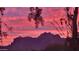 Striking mountain view framed by desert flora against a vibrant pink and purple sunset at 1440 N Idaho Rd # 2053, Apache Junction, AZ 85119