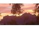 Scenic mountain view with foliage silhouetted against a warm orange and pink sunset at 1440 N Idaho Rd # 2053, Apache Junction, AZ 85119
