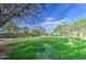 Expansive green space with lush grass, walking paths, and mature trees, offering a serene environment at 14413 W Dahlia Dr, Surprise, AZ 85379