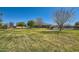 Large backyard featuring a well-maintained lawn, mature trees, and a beautiful home with a covered patio at 19535 E Via De Olivos Rd, Queen Creek, AZ 85142