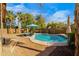 Backyard oasis featuring a refreshing pool, lounge chairs with umbrella, and mature palm trees at 203 W Raven Dr, Chandler, AZ 85286