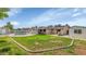 Fenced backyard with large grass area, mature landscaping, and a refreshing pool at 2262 E Javelina Ave, Mesa, AZ 85204
