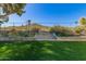 Beautiful backyard with well-maintained lawn, tiered garden beds, and distant views at 2433 E Acoma Dr, Phoenix, AZ 85032