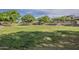 Expansive community park showcasing lush lawn, mature shade trees and neighborhood playground at 3662 E Megan St, Gilbert, AZ 85295