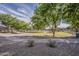 A neighborhood park with mature trees, walking paths and a playground at 3662 E Megan St, Gilbert, AZ 85295