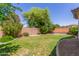 Backyard with a green lawn, brick fence, gravel and decorative plants at 4094 E Los Altos Dr, Gilbert, AZ 85297