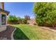 Backyard featuring green lawn, decorative stone, brick fence, and lovely landscaping at 4094 E Los Altos Dr, Gilbert, AZ 85297