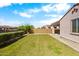 Well-maintained backyard featuring lush green lawn and privacy wall, ideal for outdoor enjoyment at 9229 W Willow Bend Ln, Phoenix, AZ 85037