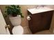 Bathroom with toilet and vanity, featuring updated fixtures and a faux plant at 930 N Mesa Dr # 2027, Mesa, AZ 85201