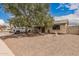 Charming single-story home featuring a large tree and gravel landscaping for low maintenance at 10723 N 80Th Ln, Peoria, AZ 85345