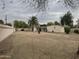 Expansive backyard with large palm tree, mature tree and block fence at 1822 E Roma Ave, Phoenix, AZ 85016