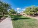 Scenic walking path winds through lush green spaces and mature trees in this well-maintained community at 4364 S Tatum Ln, Gilbert, AZ 85297