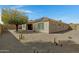 Desert backyard with gravel landscaping, native plants, and a home with solar panels at 4417 N 156Th Dr, Goodyear, AZ 85395