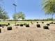 Expansive community green space with lush landscaping and mature trees at 4417 N 156Th Dr, Goodyear, AZ 85395