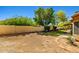 Expansive backyard with mature trees, providing ample shade and privacy at 10837 W Cottonwood Ln, Avondale, AZ 85392