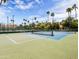 Outdoor tennis court with a green and blue surface, surrounded by tall palm trees and a clear blue sky at 1110 N Gull Haven Ct, Gilbert, AZ 85234