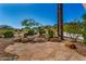 Scenic backyard featuring native trees and shrubs, complemented by a rock feature and large stone patio at 11827 S Montezuma Ct, Phoenix, AZ 85044